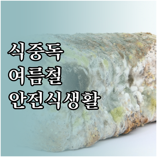 식중독 공포 극복: 여름철 안전한 식..
