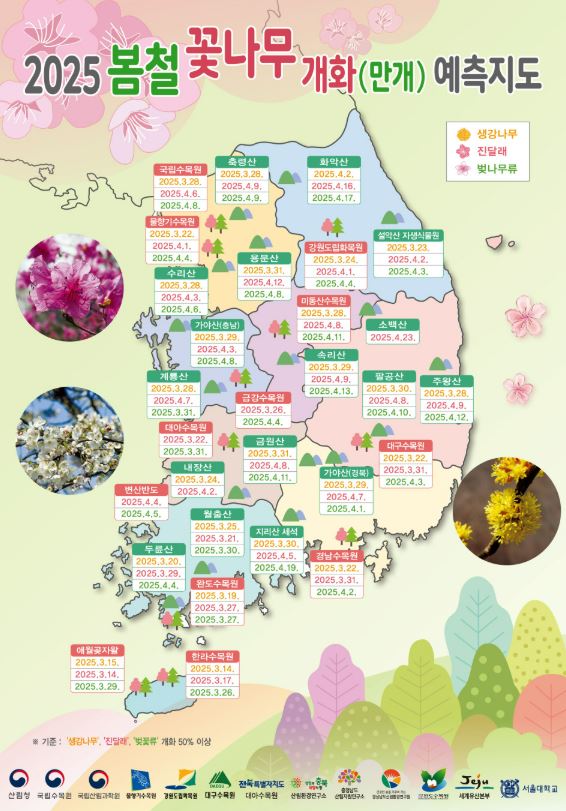 2025 봄철 꽃나무 개화 예측지도