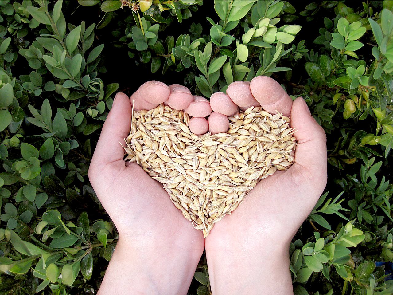 농업경영체 등록확인서 발급