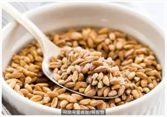 파로 곡물 효능 부작용 먹는 방법_19