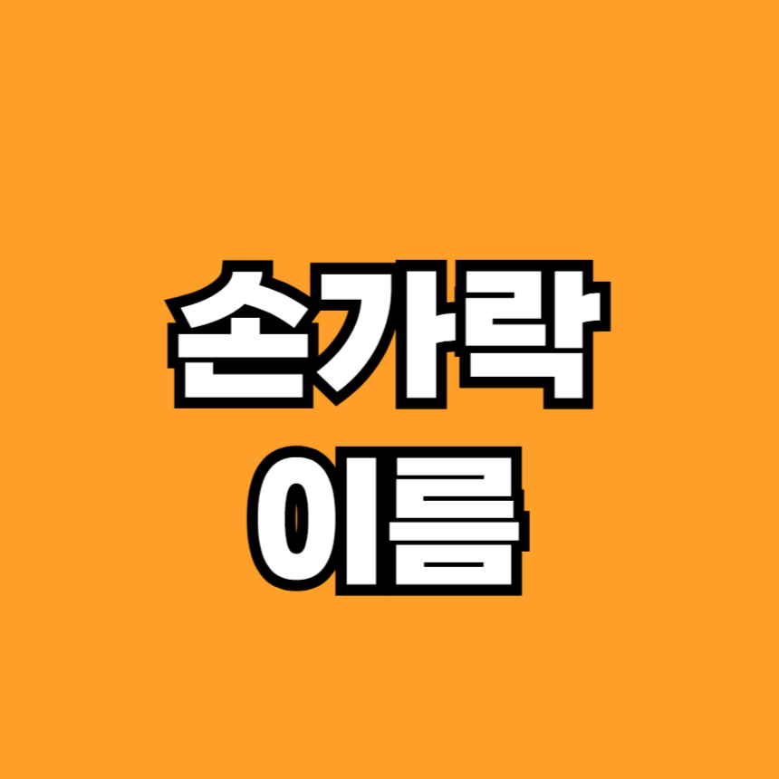 손가락 이름