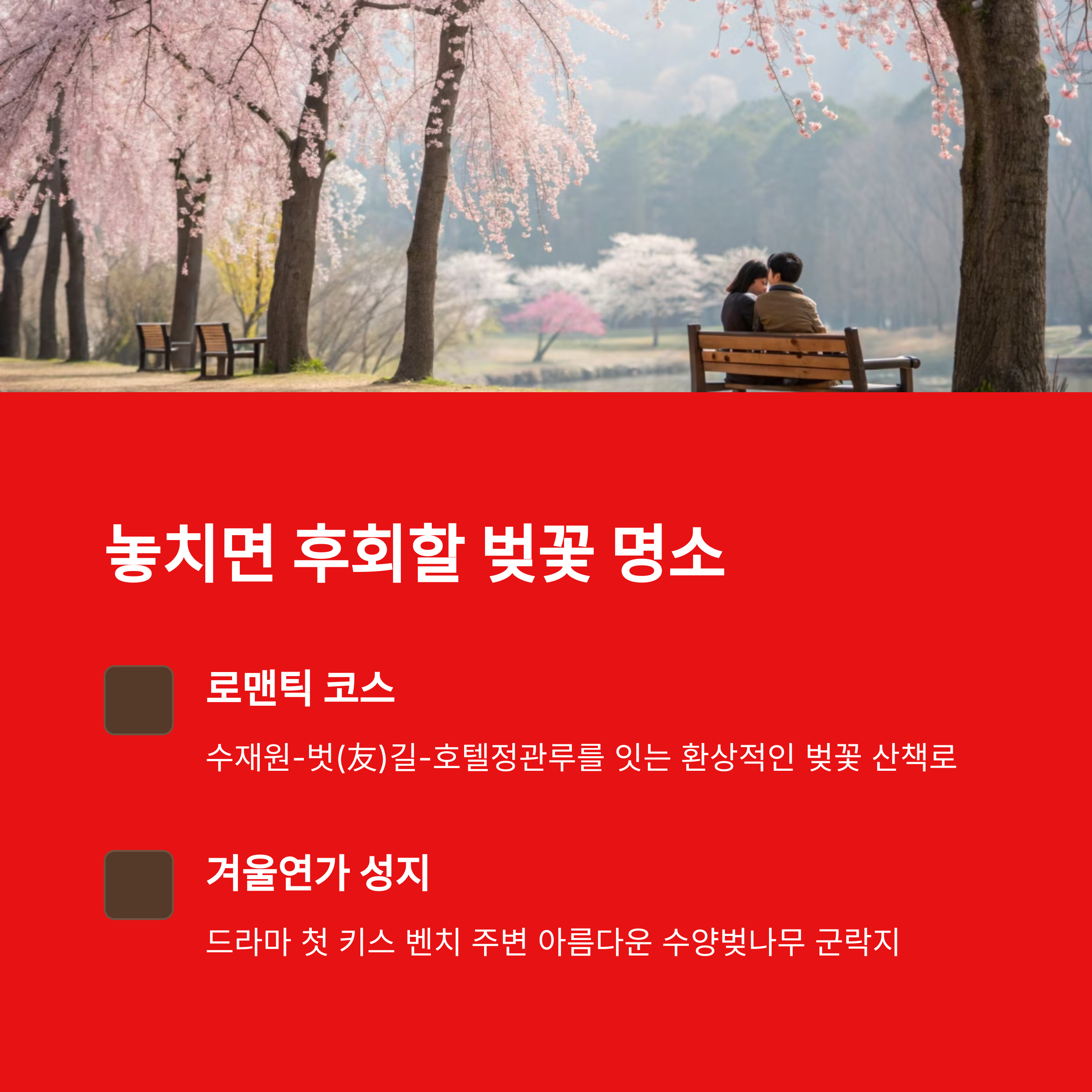 남이섬 벚꽃 명소