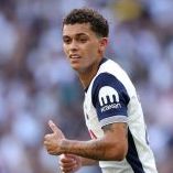 손흥민 경기일정