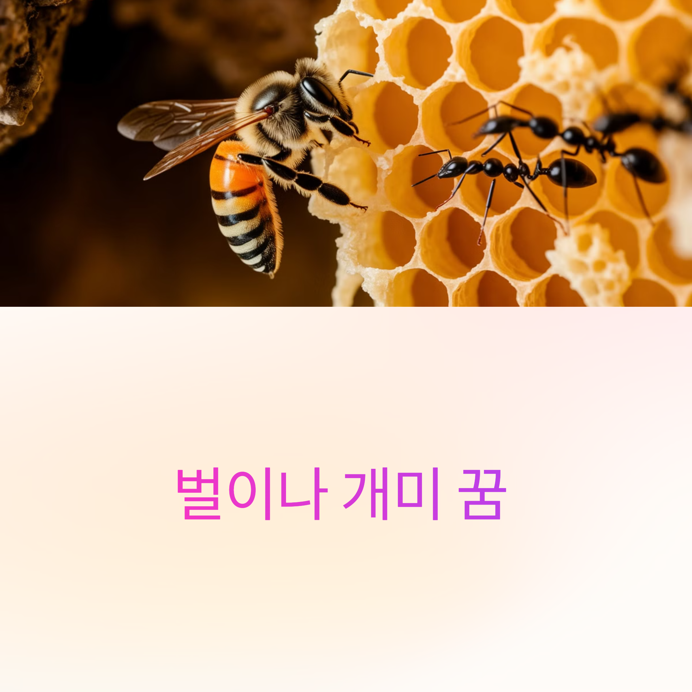 벌이나 개미 꿈