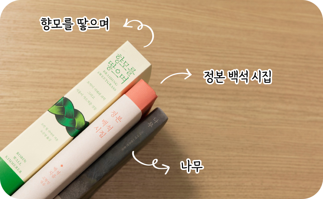 #김연수 소설가가 추천한 책 #향모를 땋으며 #정본 백석 시집 #나무