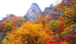 10월 아름다운 단풍산행지
