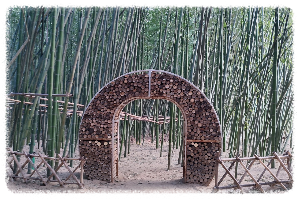 태화강십리대밭