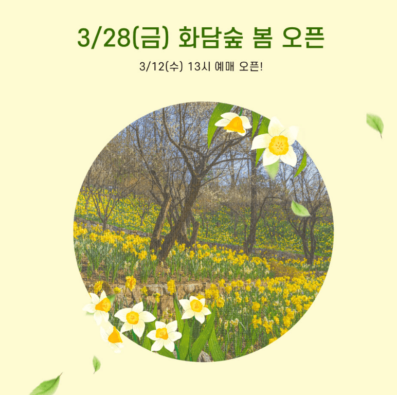 화담숲 벚꽃축제