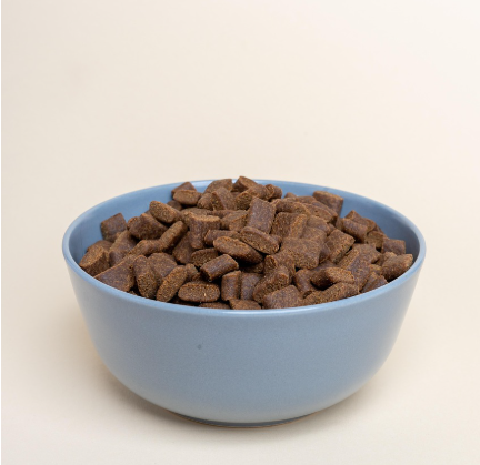 고양이 사료 선택 기준 - 연령, 질병, 체형별 맞춤 가이드