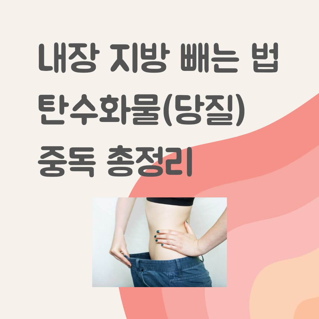 내장지방빼는법 탄수화물(당질)중독 총정리