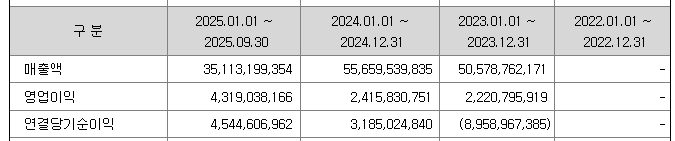액스비스 연결 손익계산서
