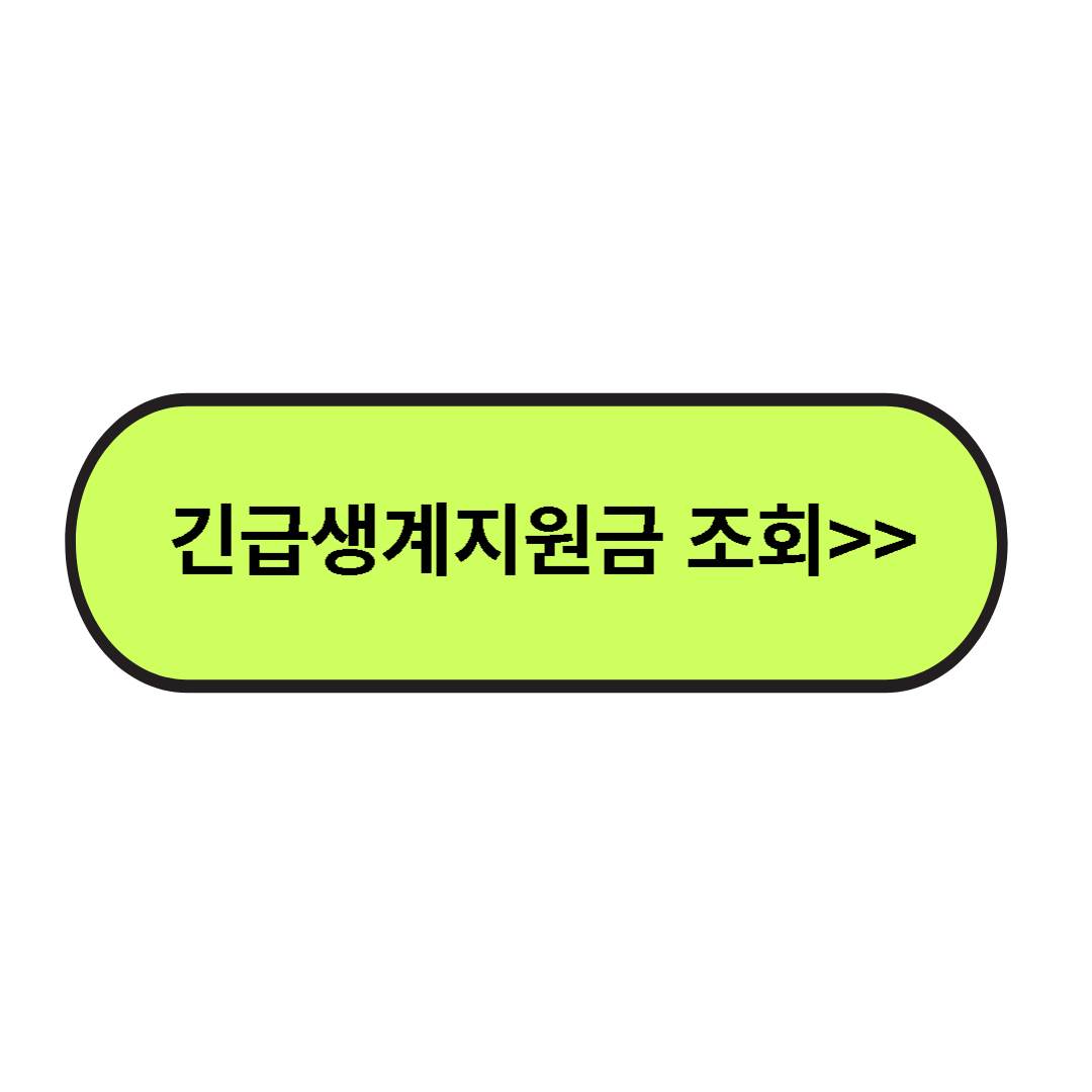 긴급생계지원금 조회