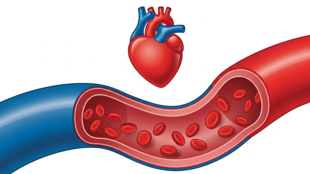 혈압과 혈관 건강을 상징하는 심벌 이미지