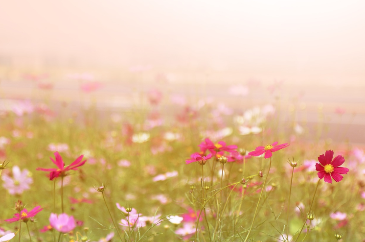 폭싹 속았수다 주요 배경지 여행하기 제주도 여행지 추천 베스트3