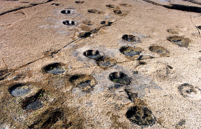 상족암군립공원 공룡발자국 흔적