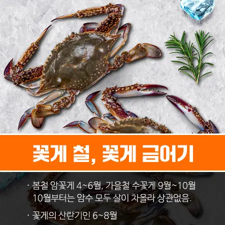 꽃게 가격