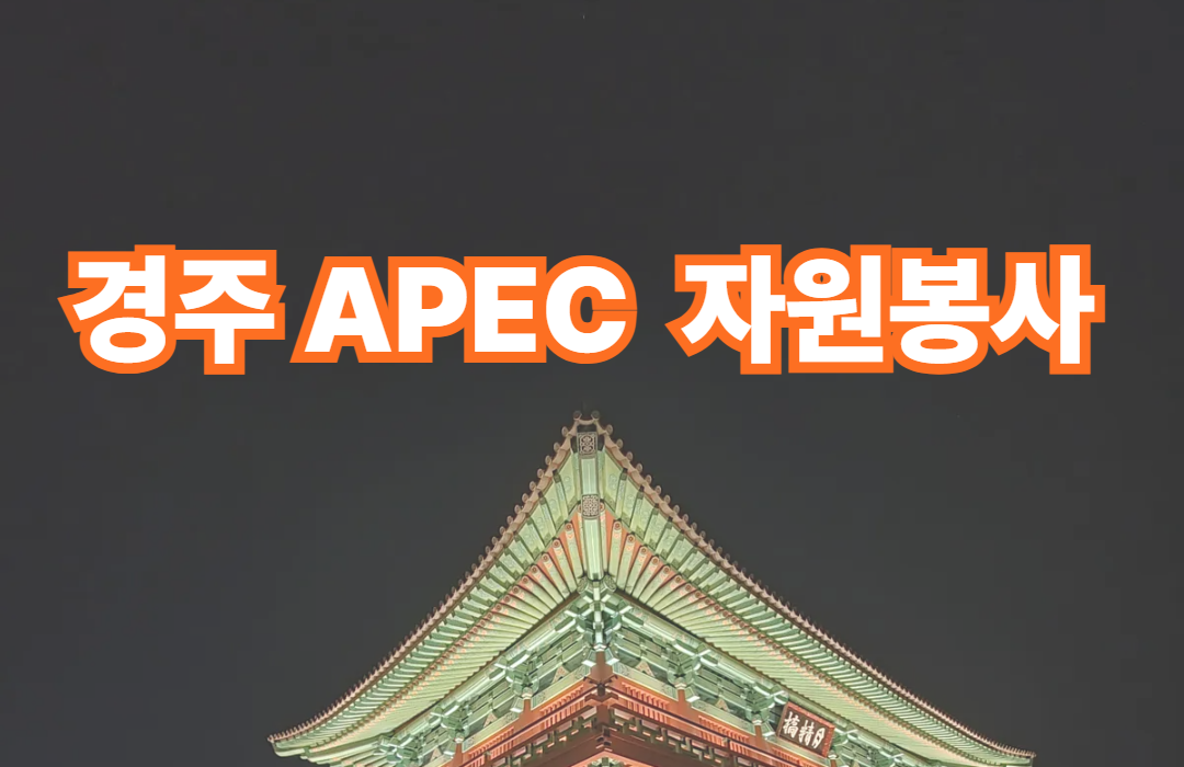 경주 APEC 자원봉사