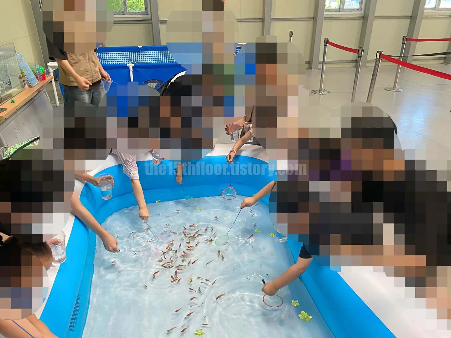 경남 의령 &amp;#39;의령 곤충생태학습관&amp;#39; (외부 체험장 &amp;#39;물고기 잡기&amp;#39;) 