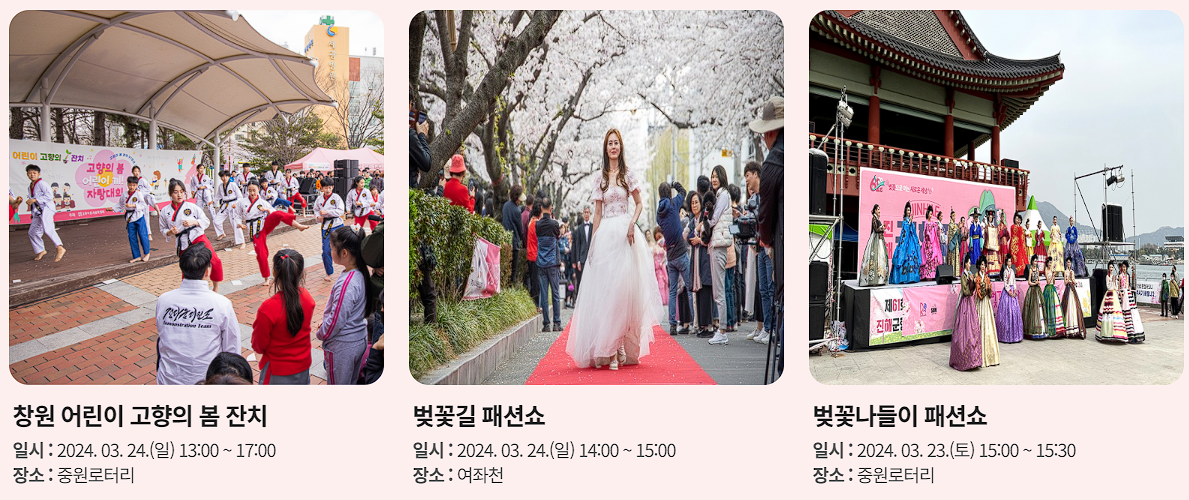 2024 진해 군항제 벚꽃축제