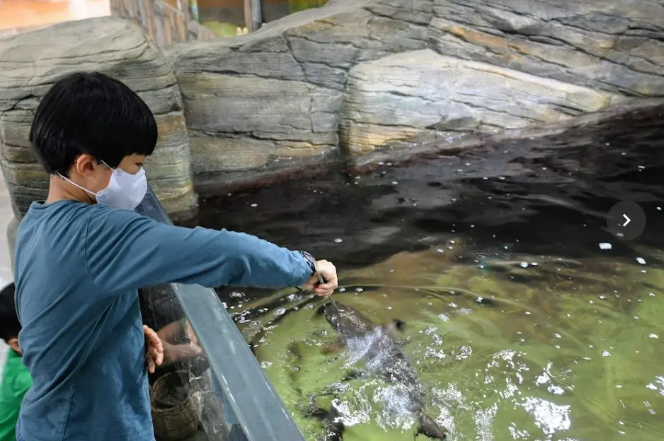 오산 버드파크 후기 사진20