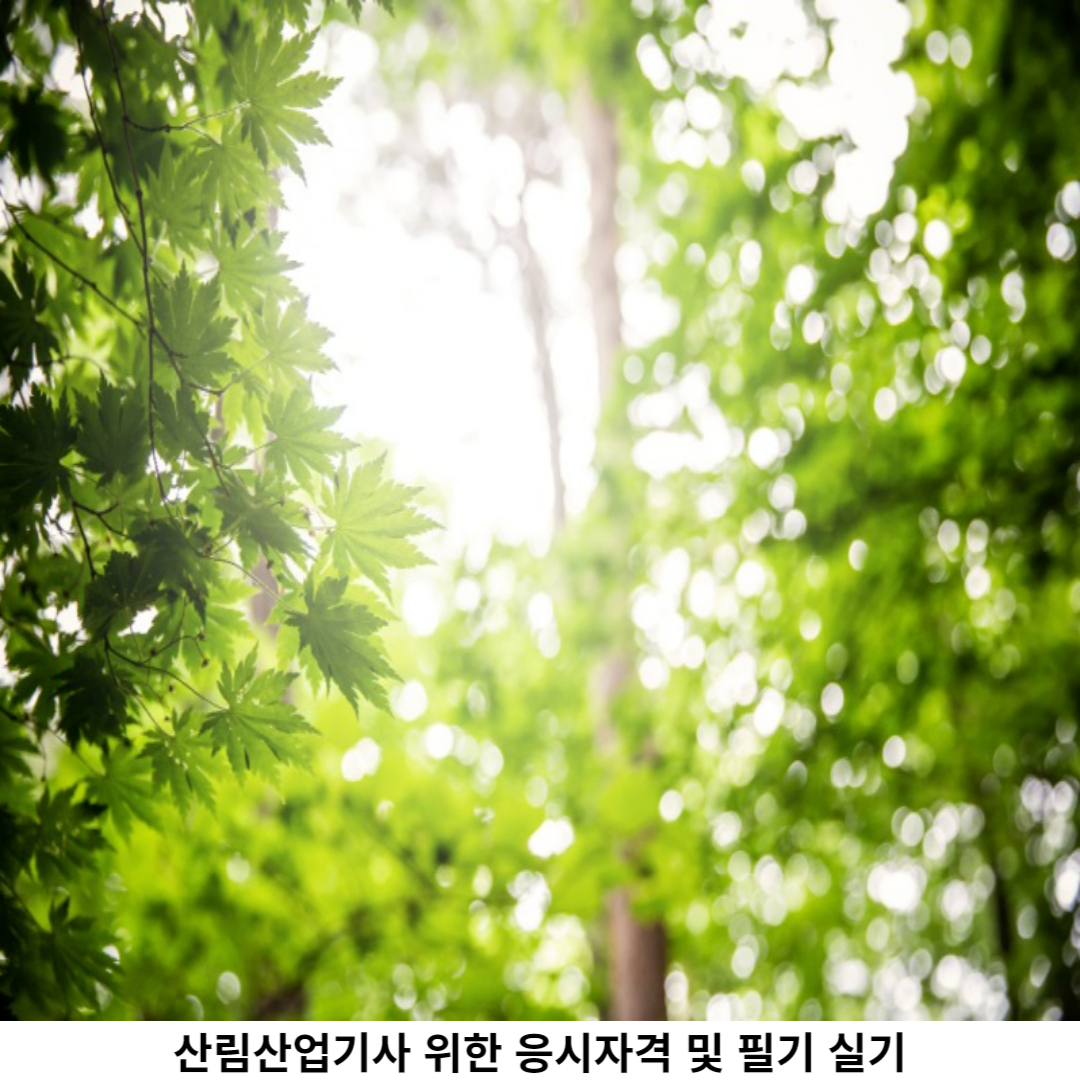 산림산업기사 실기 시험