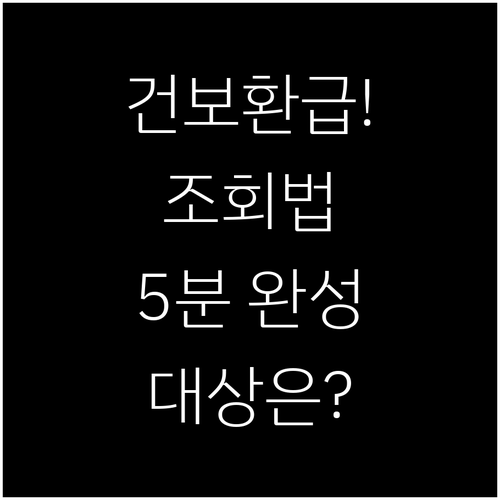 건강보험료 연말정산 환급 대상과 조회..
