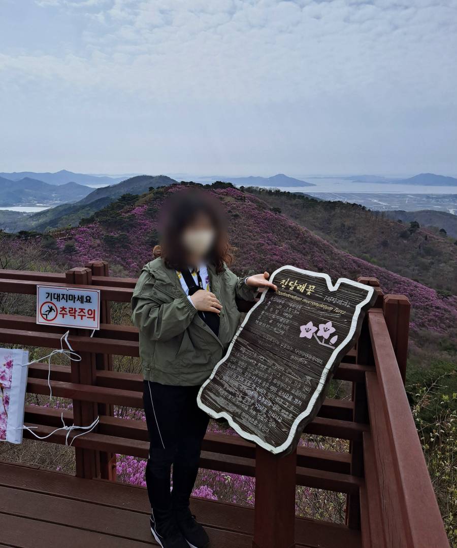 데크길 뒤 진달래 군락지