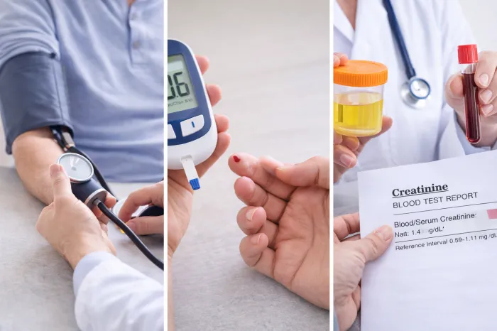 신장에 좋은 음식