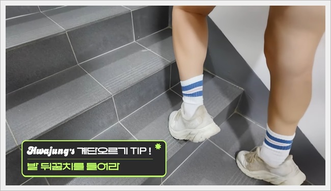 최화정 계단오르기 방법