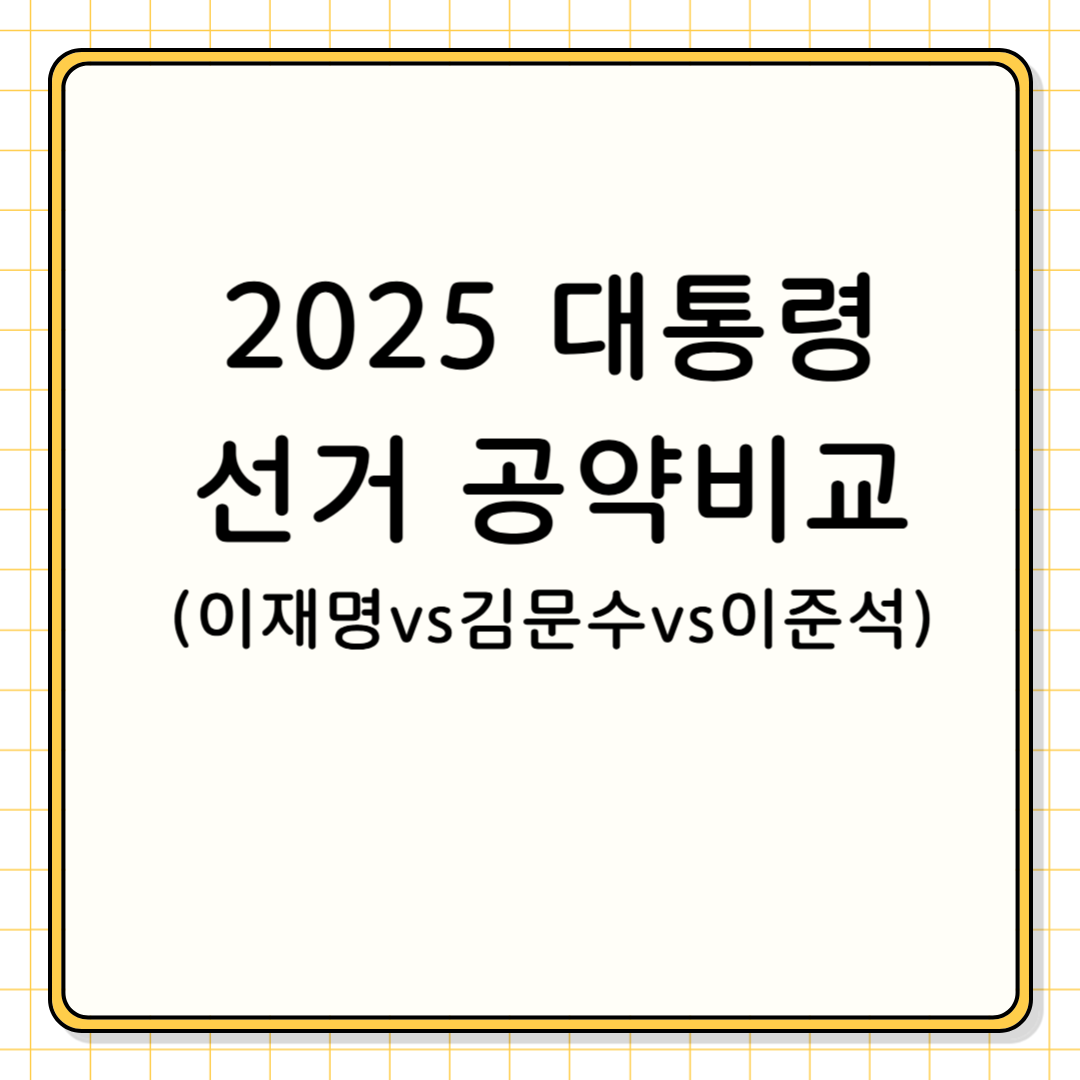 2025 대통령 선거 후보 공약 비교