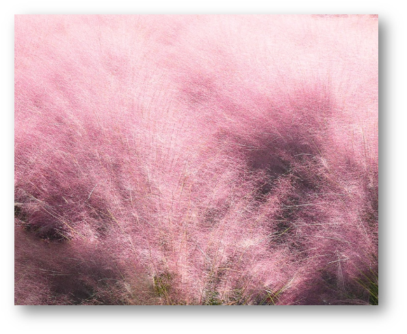 양주 나리공원0