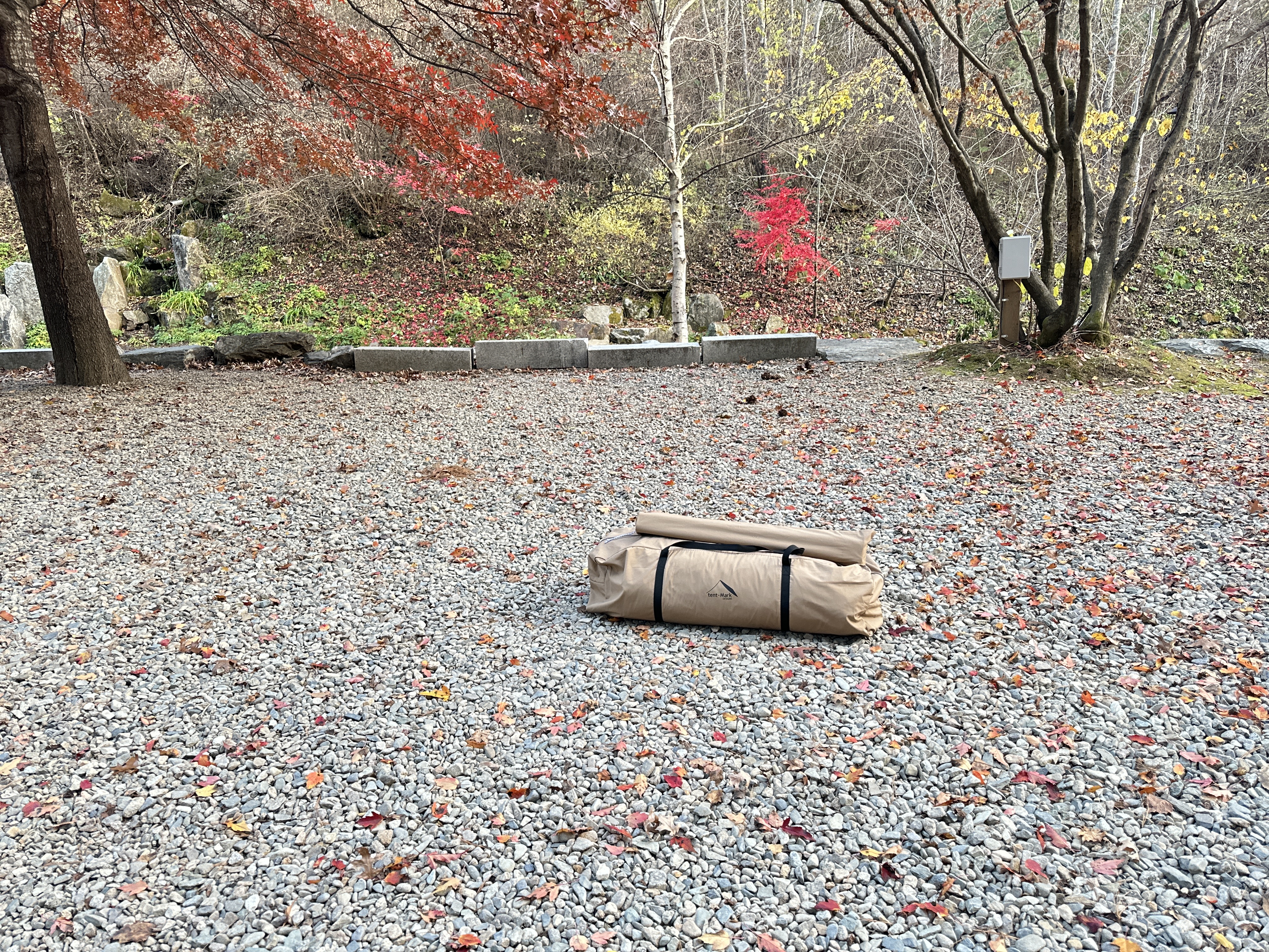 텐트마크 서커스 빅