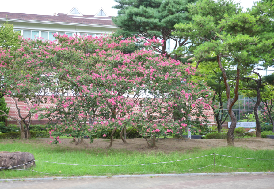 대구 단풍놀이 추천 두 번째: 화랑공원(수성구 만촌동)1