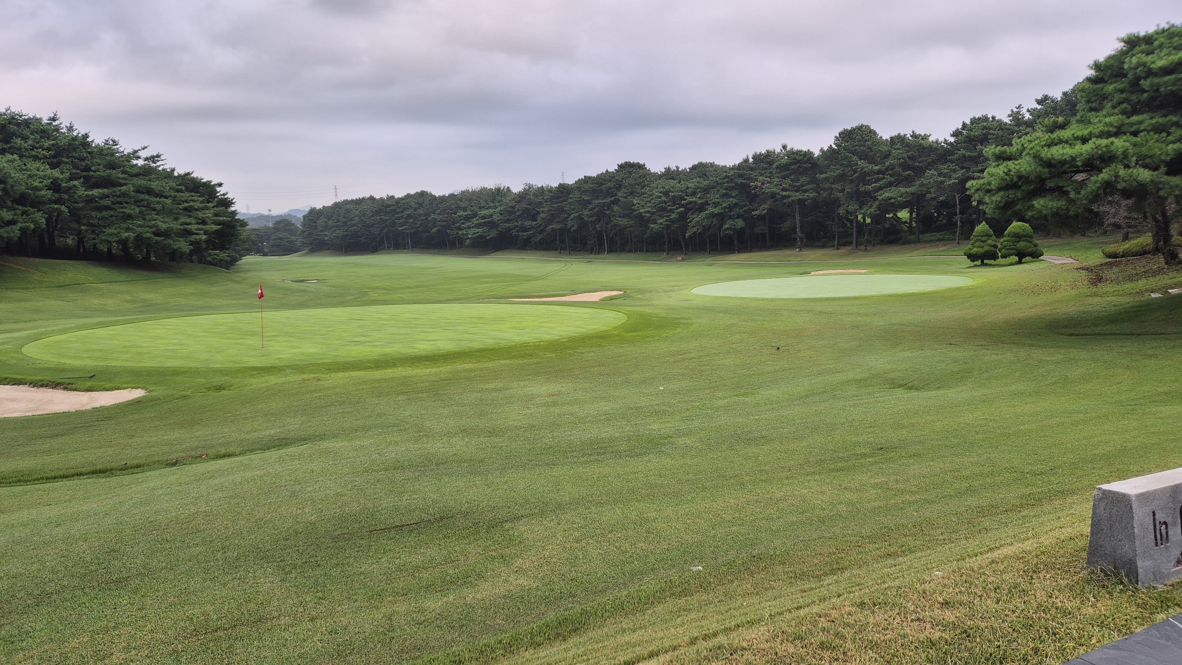 도고cc 라운드 후기