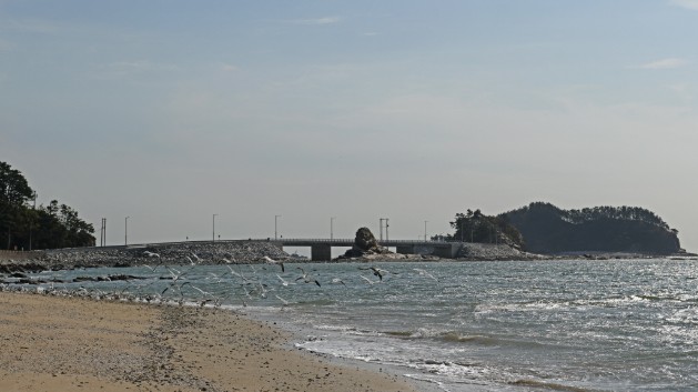 [섬 여행 추천] 인천 소연평도 가는법, 민박 및 펜션, 체험 및 볼거리, 먹거리, 1박 2일 일정표