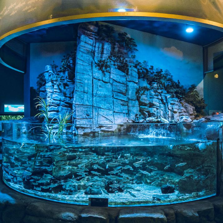 다누리아쿠아리움