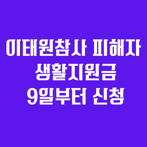 이태원참사 피해자 생활지원금