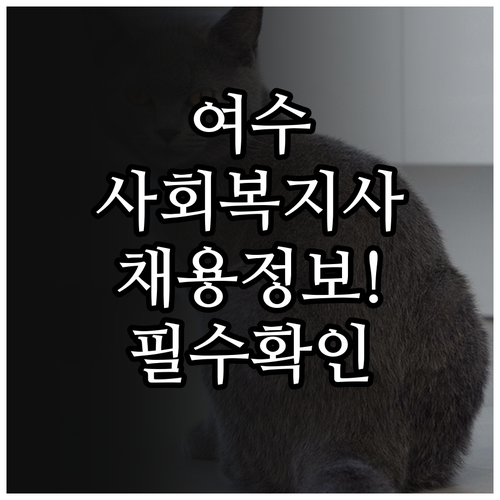 여수시 시니어클럽 사회복지사 채용 조..