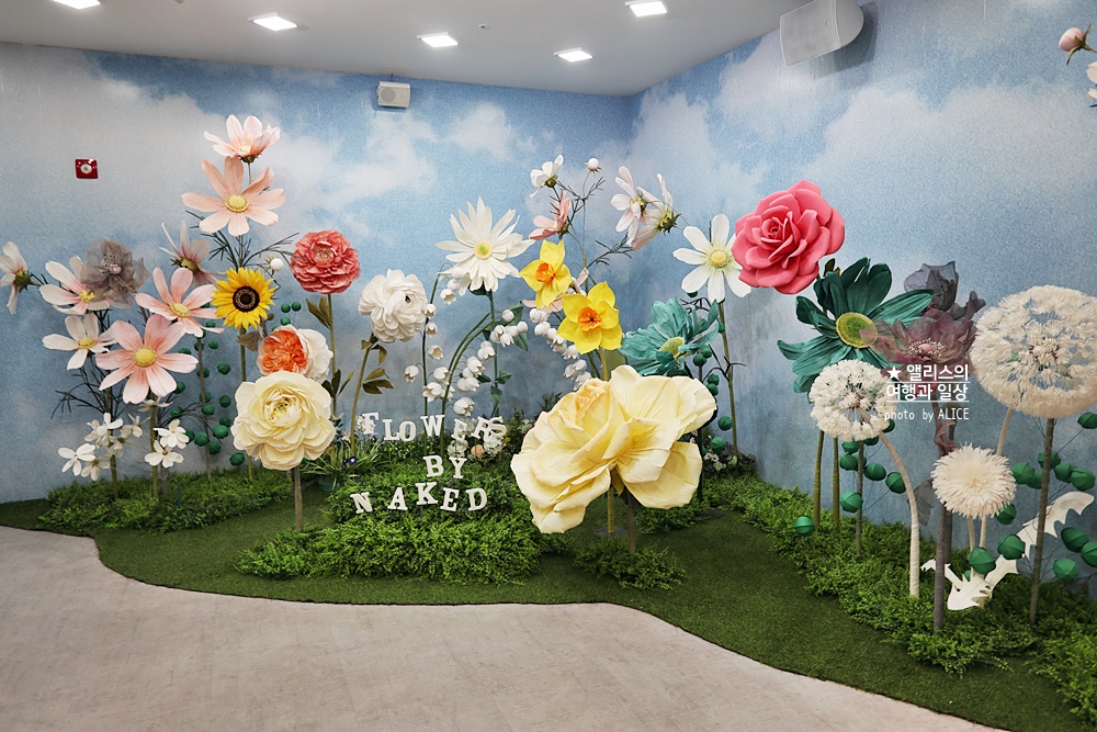 플라워바이네이키드 홍대 놀거리 입장료 23% 할인예매방법, 즐기는 꿀팁 네가지