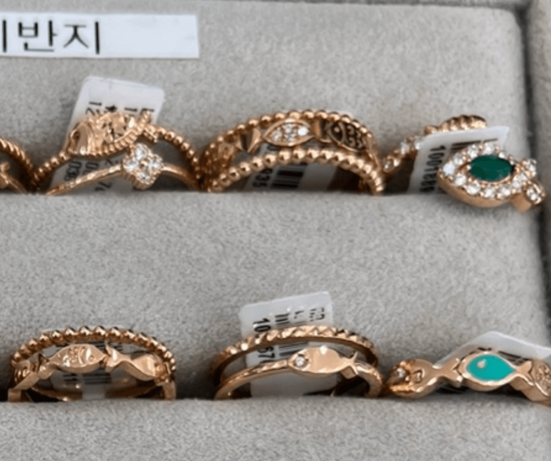 물고기 종류