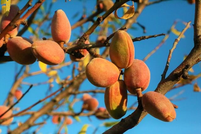 마그네슘이-풍부한-음식