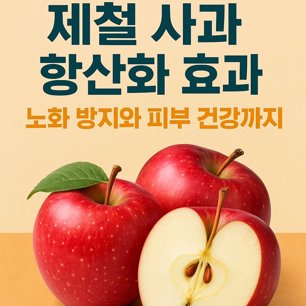 9월 제철 과일 사과 항산화 효과, 노화 방지와 피부 건강까지 썸네일 이미지