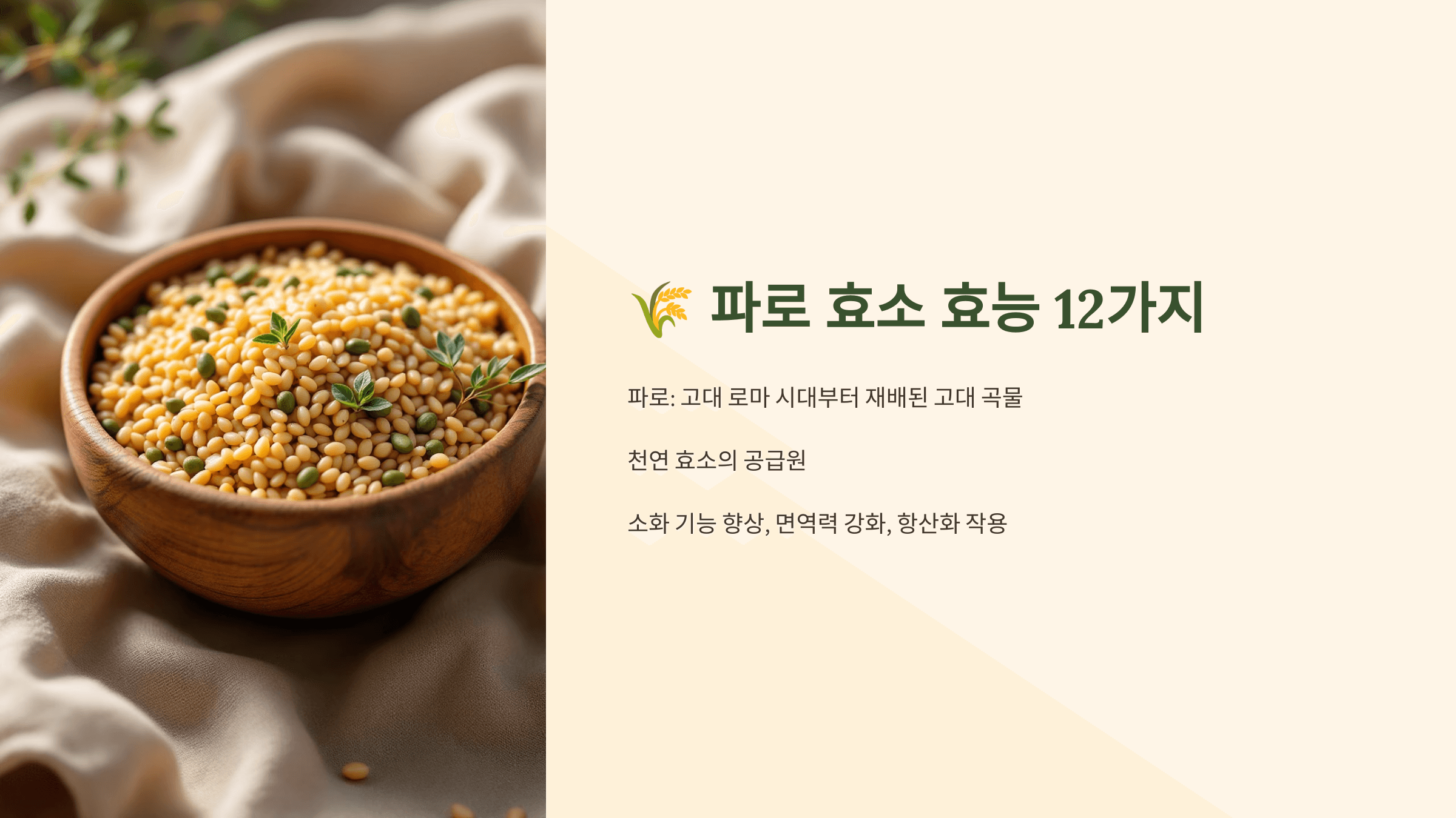 파로 효소와 관련된 사진입니다.