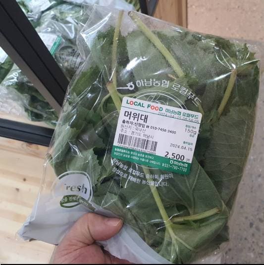 머위잎 효능 및 영양성분, 봄철 건강식품으로 추천하는 이유