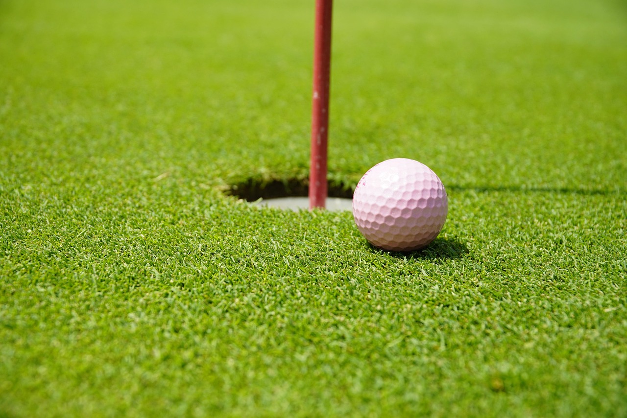 홀컵앞에 선 골프공