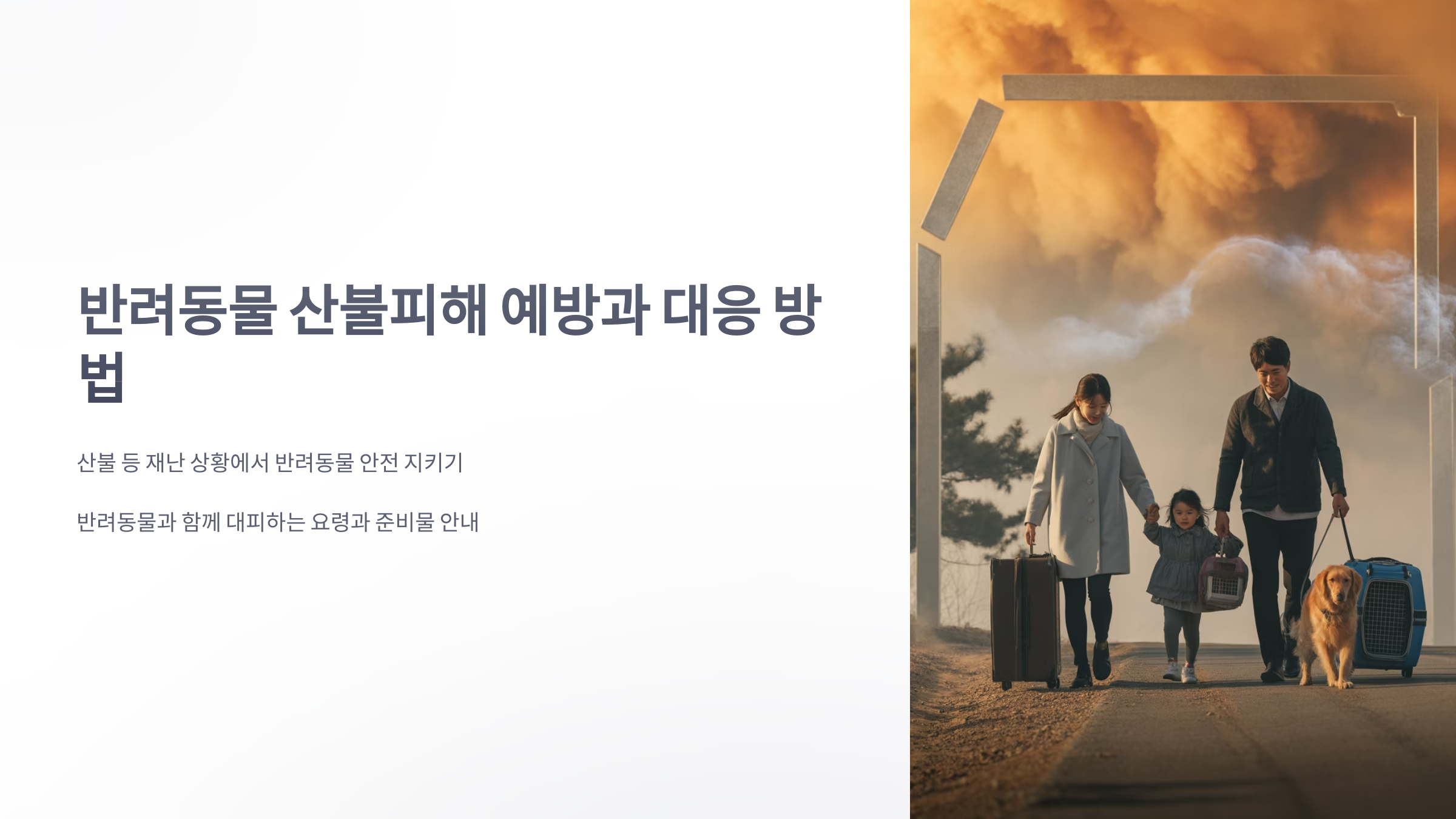 참조-반려동물-산불피해-1