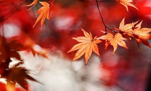남한산성-가을나들이-3