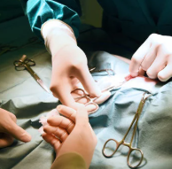 강아지 중성화 수술 후 관리법 [금식&amp;#44; 산책&amp;#44; 목욕]