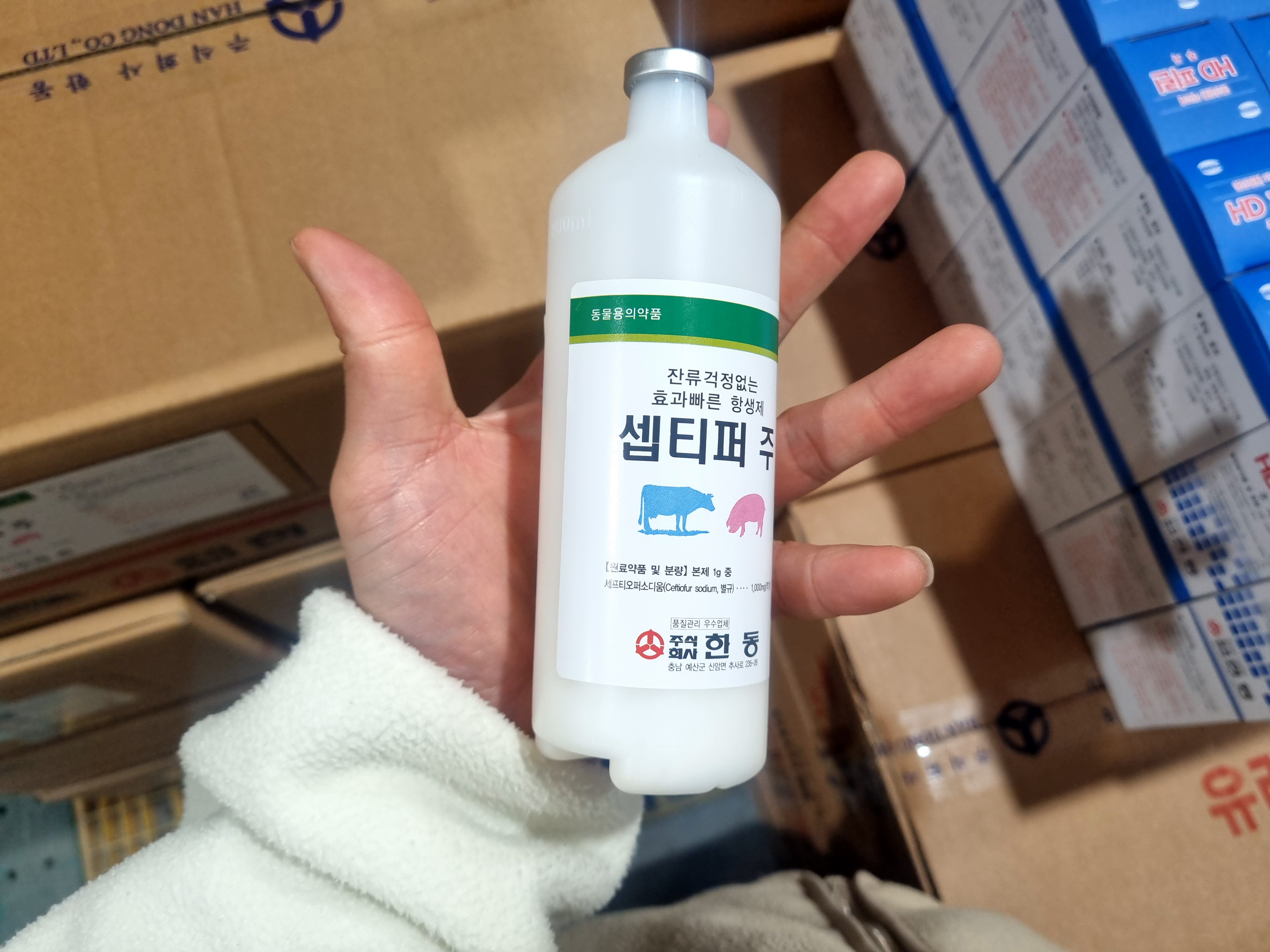 세프티오퍼 항생제 셉티퍼