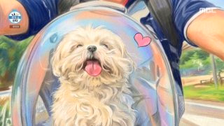 구성환 꽃분이 나이 프로필 사망 나혼산 국토대장정